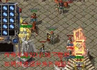 传奇私服021在线下载后如何快速提升角色等级? 传奇私服021在线下载后如何快速提升角色等级?