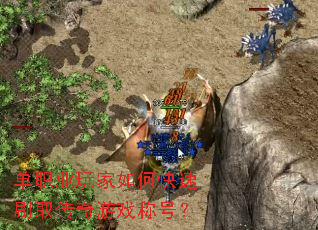 单职业玩家如何快速刷取传奇游戏称号? 单职业玩家如何快速刷取传奇游戏称号?