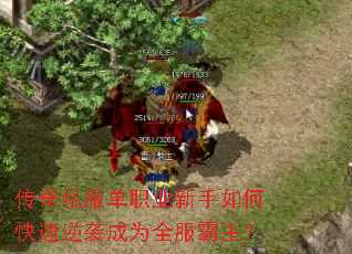 传奇私服单职业新手如何快速逆袭成为全服霸主? 传奇私服单职业新手如何快速逆袭成为全服霸主?