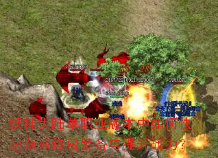 ½ְҵ汾οٻȡռװս