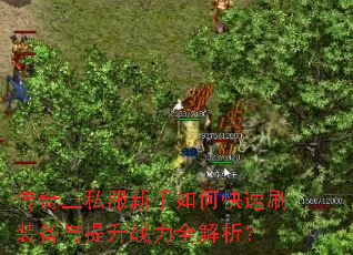 传奇三私服新手如何快速刷装备与提升战力全解析? 传奇三私服新手如何快速刷装备与提升战力全解析?