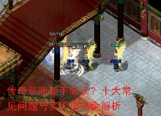 传奇私服新手必读?十大常见问题与实用技巧全解析 传奇私服新手必读?十大常见问题与实用技巧全解析