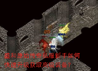 盛和原始传奇私服新手如何快速升级获取高级装备? 盛和原始传奇私服新手如何快速升级获取高级装备?