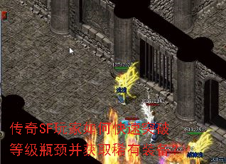 ����SF�����ο���ͻ�Ƶȼ�ƿ������ȡϡ��װ����