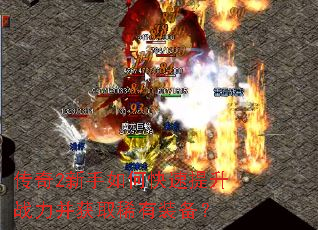 ����2������ο�������ս������ȡϡ��װ����