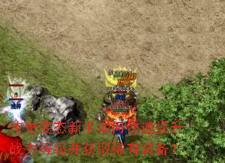 �����̬������ο�������ս���ȼ�����ȡϡ��װ����