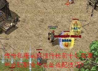 ����˽���������а�ǰʮ������Щ����ְҵ��װ�����似�ɣ�