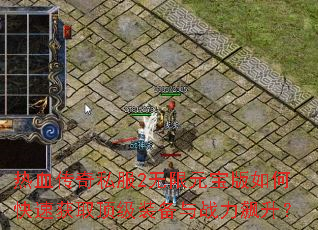 ��Ѫ����˽��2����Ԫ������ο��ٻ�ȡ����װ����ս�������