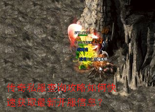 传奇私服查询攻略如何快速获取最新开服信息? 传奇私服查询攻略如何快速获取最新开服信息?