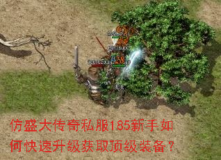 ��ʢ����˽��185������ο���������ȡ����װ����