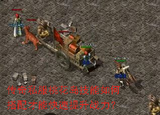 ����˽���һ���������δ�����ܿ�������ս����