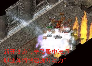 �¿���̬����˽���з�ʦְҵ��ο�������ս����