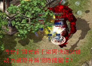 ����Ⱥ�۴�������ο���ͻ��ս��ƿ�����������ؾ��飿