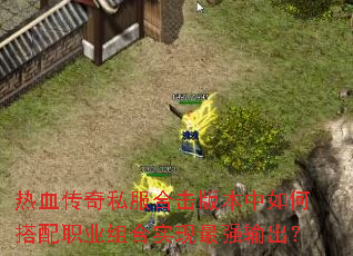 ��Ѫ����˽���ϻ��汾����δ���ְҵ���ʵ����ǿ�����