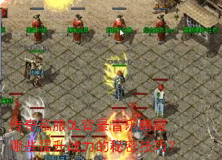 ����˽��OL�������ְ�����Щ����ս�������ܼ��ɣ�