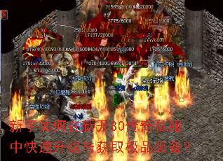 ����������¿�80����˽���п����������ȡ��Ʒװ����