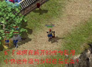 ����������¿�80����˽���п����������ȡ��Ʒװ����