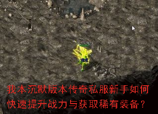 �ұ���Ĭ�汾����˽��������ο�������ս�����ȡϡ��װ����