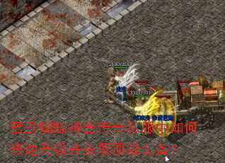 鸳鸯蝴蝶神器传奇私服中如何快速升级并获取顶级装备? 鸳鸯蝴蝶神器传奇私服中如何快速升级并获取顶级装备?