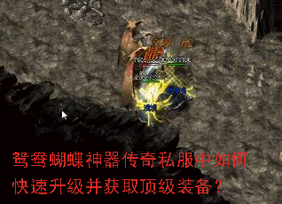 鸳鸯蝴蝶神器传奇私服中如何快速升级并获取顶级装备? 鸳鸯蝴蝶神器传奇私服中如何快速升级并获取顶级装备?