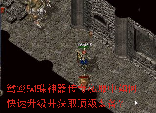 鸳鸯蝴蝶神器传奇私服中如何快速升级并获取顶级装备? 鸳鸯蝴蝶神器传奇私服中如何快速升级并获取顶级装备?