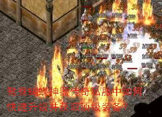 鸳鸯蝴蝶神器传奇私服中如何快速升级并获取顶级装备? 鸳鸯蝴蝶神器传奇私服中如何快速升级并获取顶级装备?