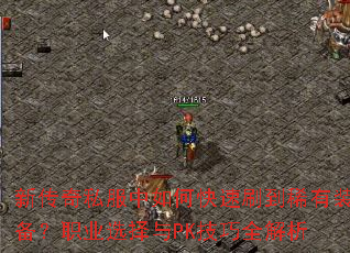 �´���˽������ο���ˢ��ϡ��װ����ְҵѡ����PK����ȫ����