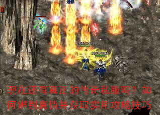 ���ڻ��������Ĵ���˽������α����α����ȡʵ�ù��Լ���