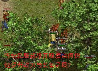 ����˽���·���������ο�������ս����װ��Ʒ�ʣ�