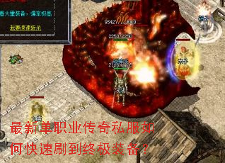 ���µ�ְҵ����˽����ο���ˢ���ռ�װ����