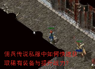 Ӷ����˵˽������ο��ٻ�ȡϡ��װ��������ս����