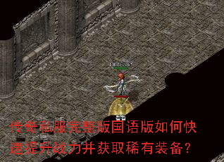 ����˽��������������ο�������ս������ȡϡ��װ����