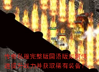 ����˽��������������ο�������ս������ȡϡ��װ����