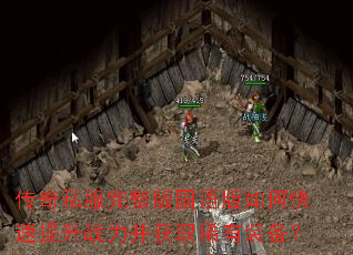 ����˽��������������ο�������ս������ȡϡ��װ����