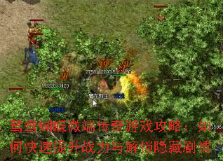 ԧ�����΢�˴�����Ϸ���ԣ���ο�������ս����������ؾ���