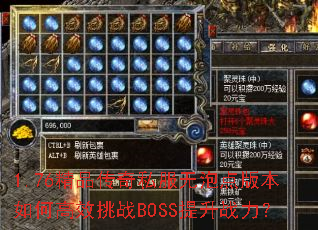 1.76��Ʒ����˽�����ݵ�汾��θ�Ч��սBOSS����ս����
