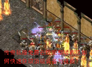 ����˽���������������������ο��ٻ�ȡ����װ���뼼�ܣ�