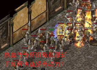 ��Ѫ���滳�ɷ�˽��������ο�������ս����