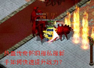 ��Ѫ���滳�ɷ�˽��������ο�������ս����