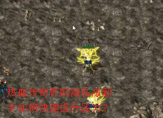 ��Ѫ���滳�ɷ�˽��������ο�������ս����