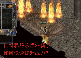 ����˽������SF������ο�������ս����