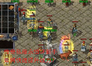 ����˽������SF������ο�������ս����