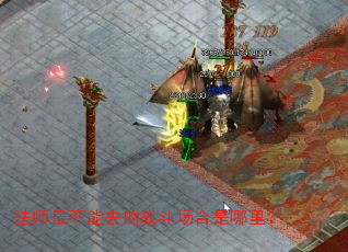 ��ʦ���ȥ��ս�����������