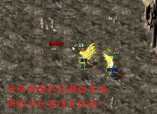 ��������Щ����汾ֵ����������������飿