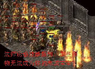 法师诱惑技能限制:哪些怪物无法成为你的忠诚宝宝? 法师诱惑技能限制:哪些怪物无法成为你的忠诚宝宝?