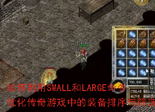 �������SMALL��LARGE�����Ż�������Ϸ�е�װ��������ɸѡ��