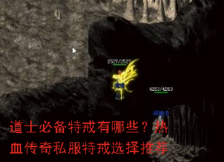 ��ʿ�ر��ؽ�����Щ����Ѫ����˽���ؽ�ѡ���Ƽ�