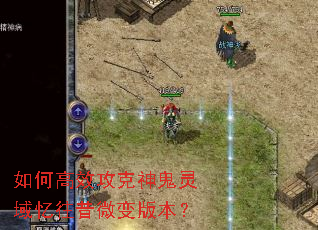 ��θ�Ч�����������������΢��汾��