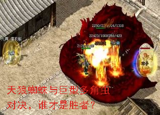 ����֩������Ͷ�ǳ�Ծ���˭����ʤ�ߣ�