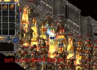 ��δ�NPC����ȡɱ������